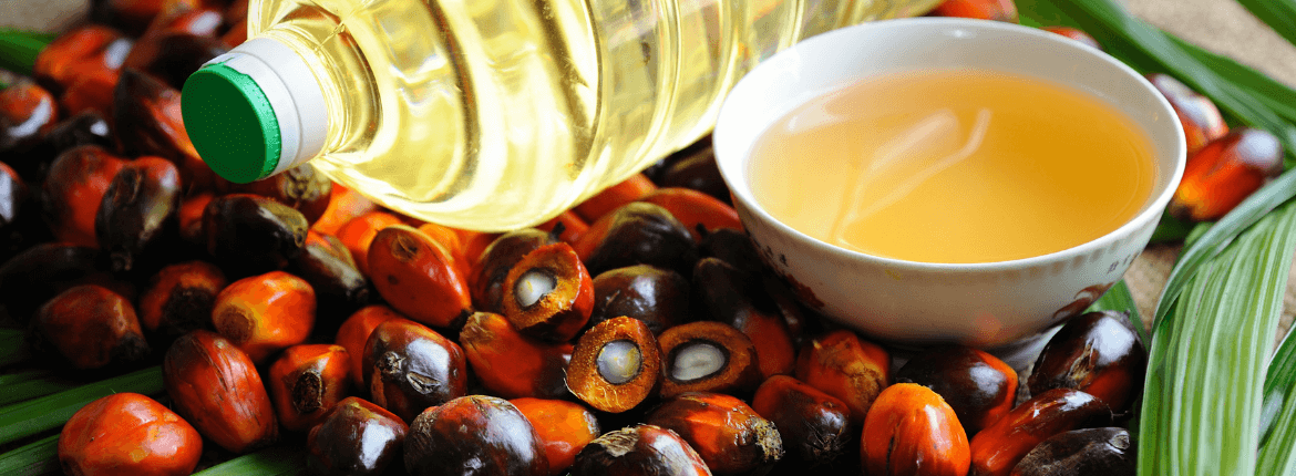 Palmiye Yağı Renk Giderme