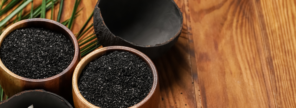 Coal Based Activated Carbons