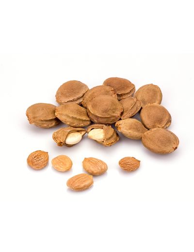 Kayısı Çekirdeği Kabuğu Bazlı Aktif Karbon