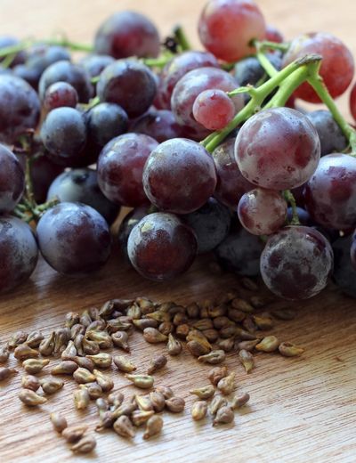 Üzüm Çekirdeği Kabuğu Bazlı Aktif Karbon