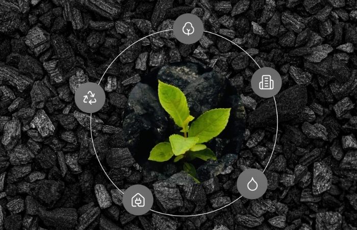 Biochar